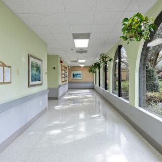 A bright and inviting hospital corridor with plants and artwork.