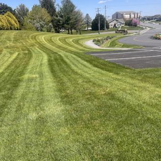 A beautifully manicured lawn with curved mowing patterns leading towards a pathway.