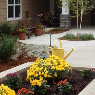 A charming garden with vibrant flowers and a yellow watering can along a curving pathway.