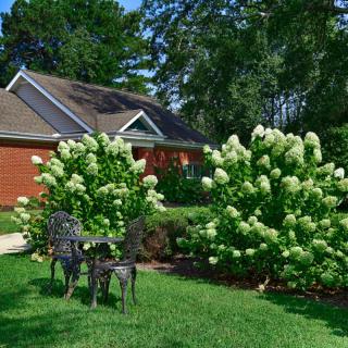 A well-maintained garden with blooming bushes and outdoor seating in front of a house.
