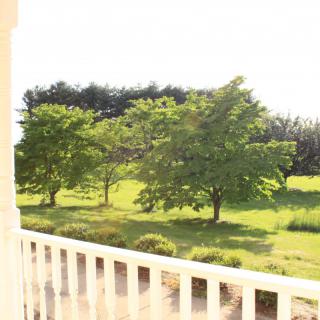 A view from the balcony overlooking lush green trees bathed in sunlight.