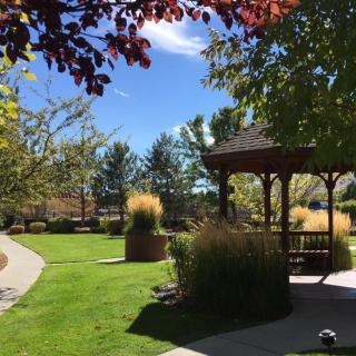 A sunny garden with a gazebo, surrounded by trees and a well-maintained grassy area.