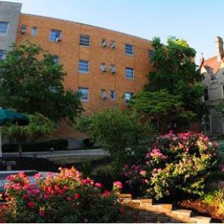 A vibrant garden with colorful flowers in front of a modern building under a clear blue sky.