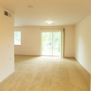 An empty living room with carpet flooring, a window, and a sliding glass door allowing natural light to enter.
