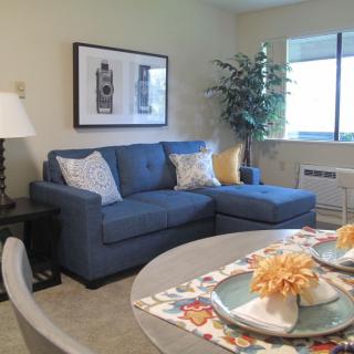 A cozy living room with a blue sectional sofa and decorative pillows, featuring a bright window and stylish home decor.