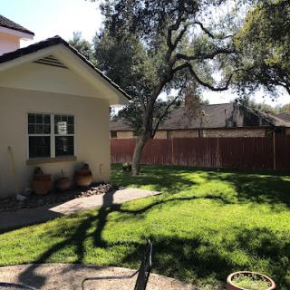 A serene backyard view featuring a well-maintained lawn and trees under the sunlight.