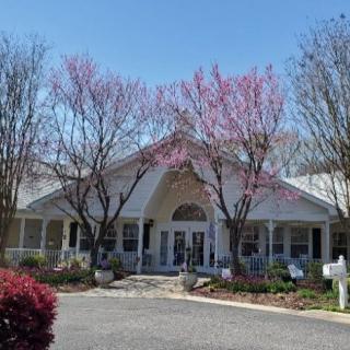 A charming building surrounded by blooming trees and spring foliage.