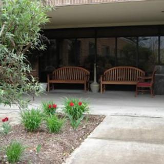 A peaceful outdoor patio with benches and a small garden.