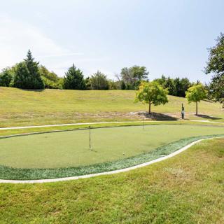 A scenic view of a putting green surrounded by lush trees on a sunny day.