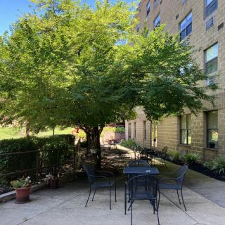 A cozy outdoor patio with tables and chairs shaded by a large tree next to a building.