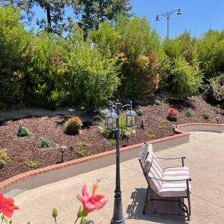 A serene garden patio with a bench surrounded by lush greenery and vibrant flowers.
