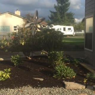 A garden with various plants and a tree near a house, with a trailer visible in the background.