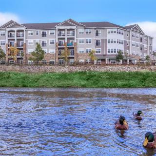 People swimming in a river with an apartment building in the background.