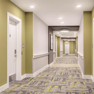 A modern hallway with soft lighting and patterned carpet.