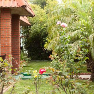 A lush garden with roses and tropical plants beside a brick house.