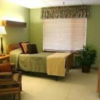 A cozy bedroom with a single bed, green walls, and a small plant by the window.