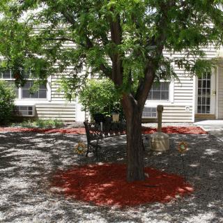 A landscaped garden with a tree and bench in front of a house.