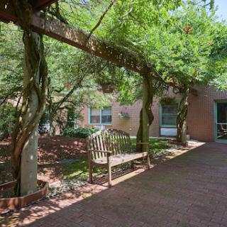 A serene garden space featuring a wooden bench under a canopy of lush greenery.