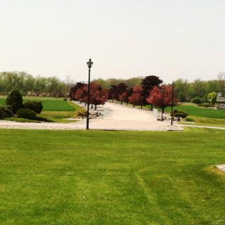 A scenic park with a pathway, surrounded by lush grass and colorful trees.