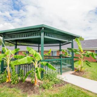 A green gazebo surrounded by banana plants and a pathway in a landscaped garden.