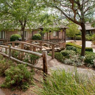 A tranquil garden with a wooden pathway surrounded by lush greenery and trees.