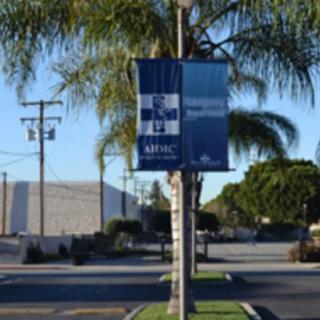 A street scene with a palm tree and a banner on a pole, with buildings in the background.