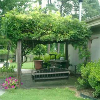 A cozy garden area with a pergola covered in lush greenery and an inviting patio seating arrangement.
