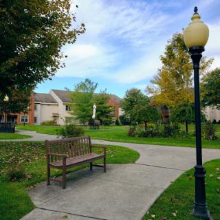 A serene park pathway with a bench and lamp post, surrounded by lush greenery and a clear sky.