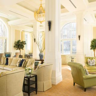 A luxurious living room with elegant furnishings, large windows, and indoor plants.