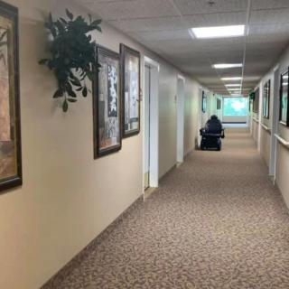 A long corridor with carpeted floors and artwork on the walls.