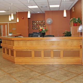 A modern reception area featuring a wooden counter and decorative plants.