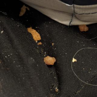 Crumbs scattered on dark fabric.