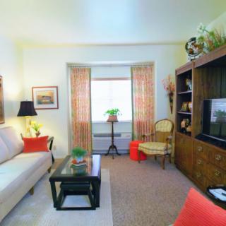 A cozy living room with a sofa, TV stand, and coffee table, featuring decorative touches and natural light from the window.