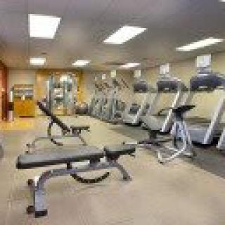A well-equipped gym with treadmills and benches.