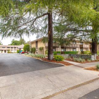 A residential complex surrounded by trees and greenery, featuring a driveway and sidewalk.