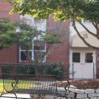 A serene outdoor scene featuring a bench under the shade of trees with a building in the background.