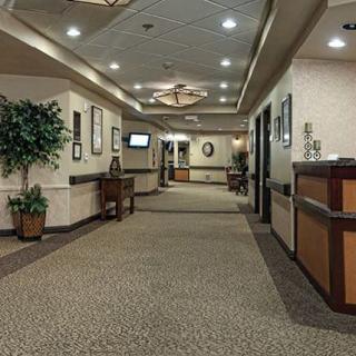 A well-lit office hallway with carpet flooring and decorative elements.
