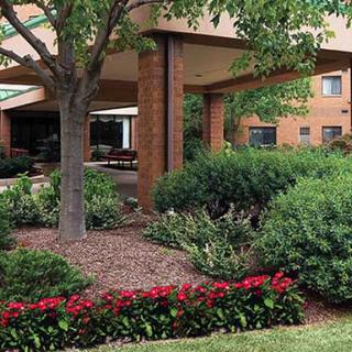 A landscaped entryway with flowers and greenery surrounding a building.