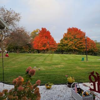 A serene autumn scene showcasing vibrant fall colors in the trees against a calm sky.