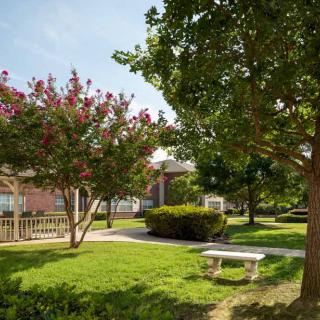 A serene garden with lush greenery, flowering trees, and a stone bench.