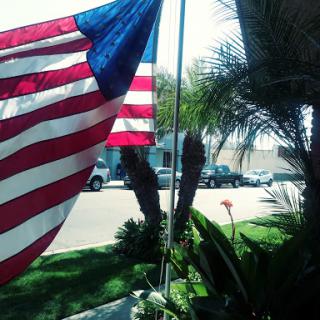 A vibrant display of the United States flag set against a sunny backdrop with palm trees in a residential area.