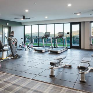 A modern gym with various exercise equipment including treadmills, stationary bikes, and weights.