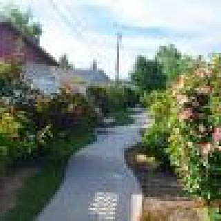 A picturesque garden path lined with flowers and greenery.