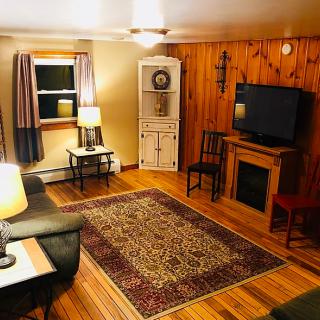 A cozy living room with wooden walls and warm lighting, featuring a sofa, armchair, rug, television, and corner cabinet.