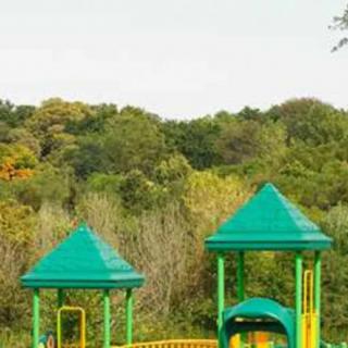 A colorful playground surrounded by lush greenery.