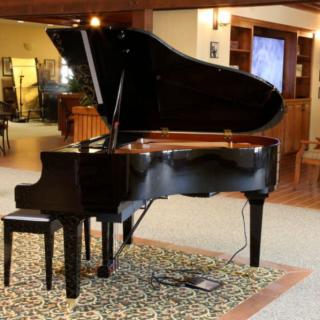 A grand piano sits elegantly in a cozy music room.