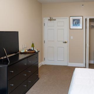 A cozy bedroom featuring a television on a dresser, a closed door with artwork above, and an open closet.