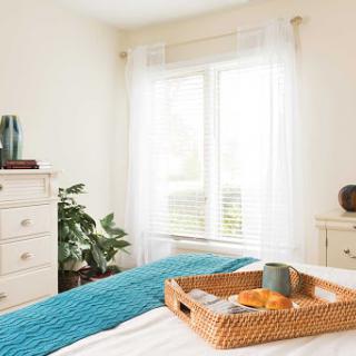 A serene and inviting bedroom with bright natural light, featuring a comfortable bed, stylish decor, and a touch of greenery.