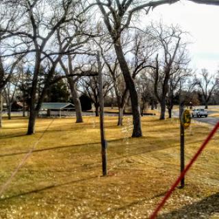 A serene view of a rural park with bare trees and grassy areas, capturing the tranquility of winter.
