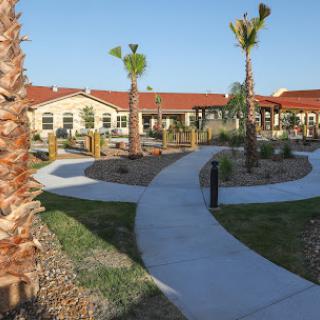 A serene outdoor pathway surrounded by palm trees and landscaping, leading to a residential building.